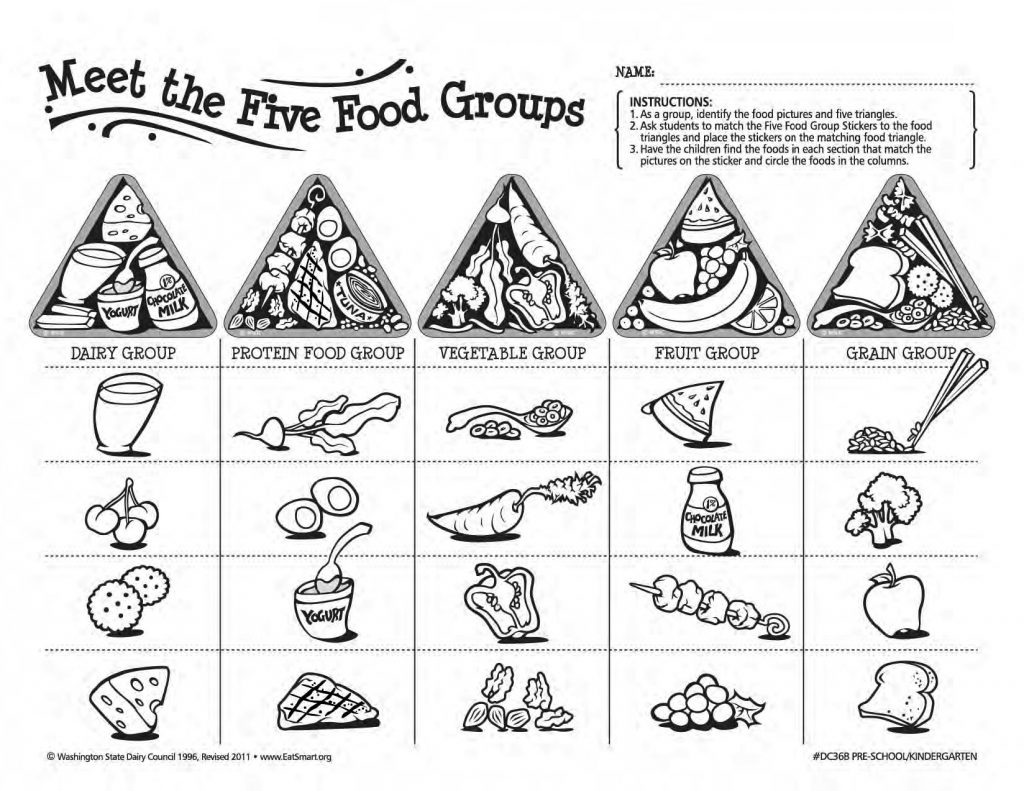 Five Food Groups Workbook