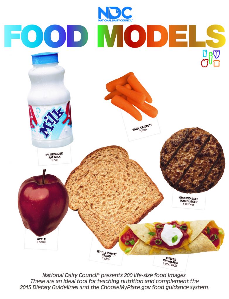 Food models handout cover page