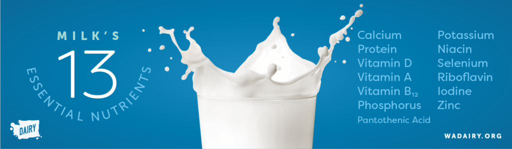 Milk's thirteen essential nutrients: calcium, protein, phosphorus, pantothenic acid, potassium, niacin, selenium, riboflavin, iodine, zinc, and Vitamins D, A, and B 12