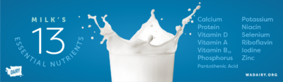 Milk's thirteen essential nutrients
