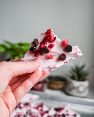 hand holding chunk of frozen yogurt bark with dark chocolate chips and pomegranate seed toppings