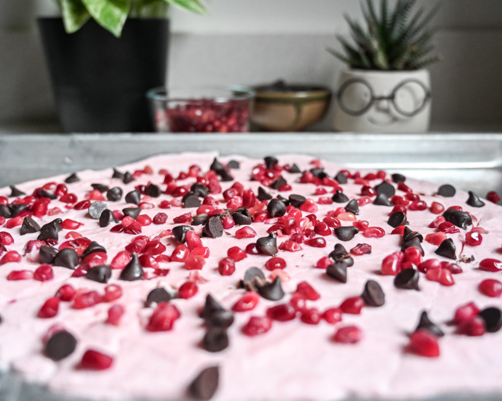 frozen yogurt bark with dark chocolate chips and pomegranate seed toppings
