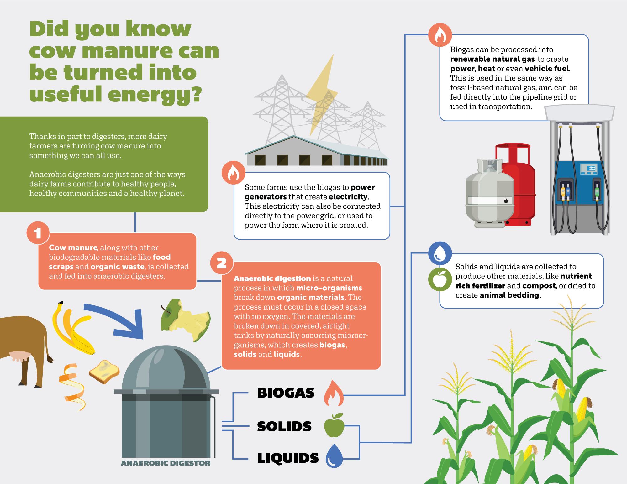 anaerobic digester infographic