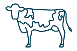 icon of a Holstein cow