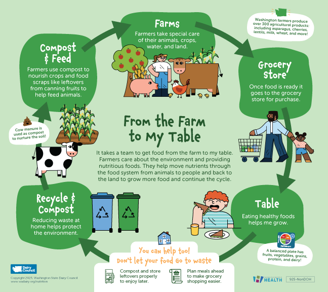 Colorful infographic of a food system cycle, from the farm to my table. From farm, to grocery store, to table, to recycling and composting, back to composting and feed at the farm. 